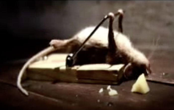 Joe La Pompe advertising, publicité - Exercise with a mouse trap / Pas la  queue d'une idée neuve?